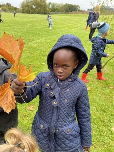 St Francis of Assisi Catholic Primary School - EYFS autumn welly walk!